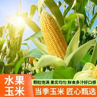 【小颖专属】产地现摘爆浆香甜带壳带须鲜食生吃水果玉米坏果包赔