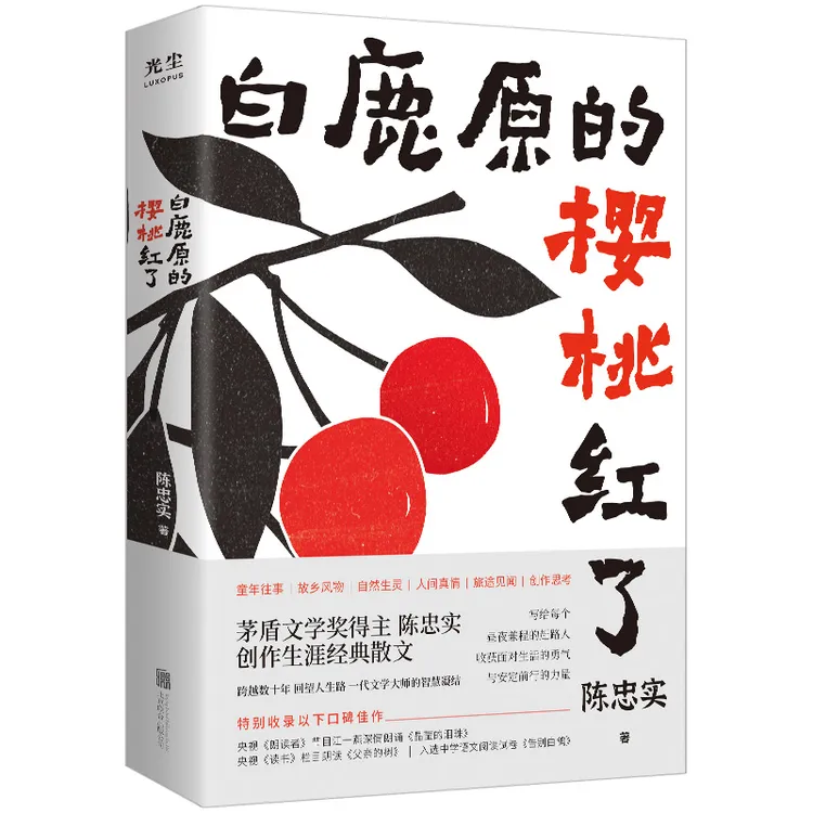 白鹿原的樱桃红了