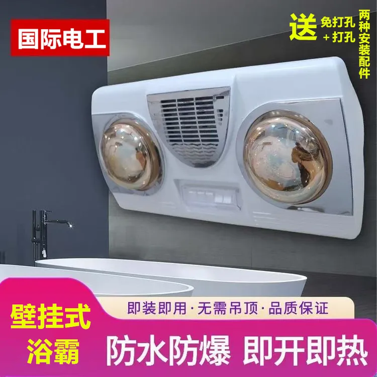 国际电工壁挂式浴霸两灯暖风暖一体机挂墙挂壁浴室吹风取暖灯