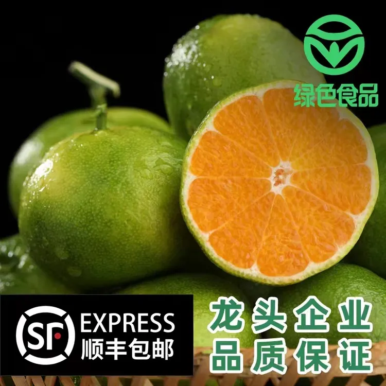【顺丰包邮】武平青皮蜜桔现摘新鲜橘子采摘酸甜橘子3/5斤