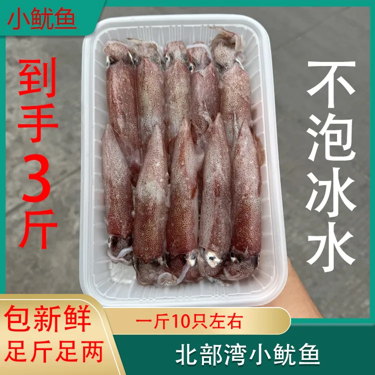 【如意】北海海鲜鱿鱼铁板乌贼海兔船冻包新鲜冷冻无冰衣特色带籽