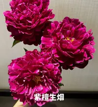 紫檀生烟 国产芍药