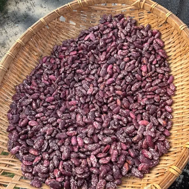 贵州农家自种花红豆