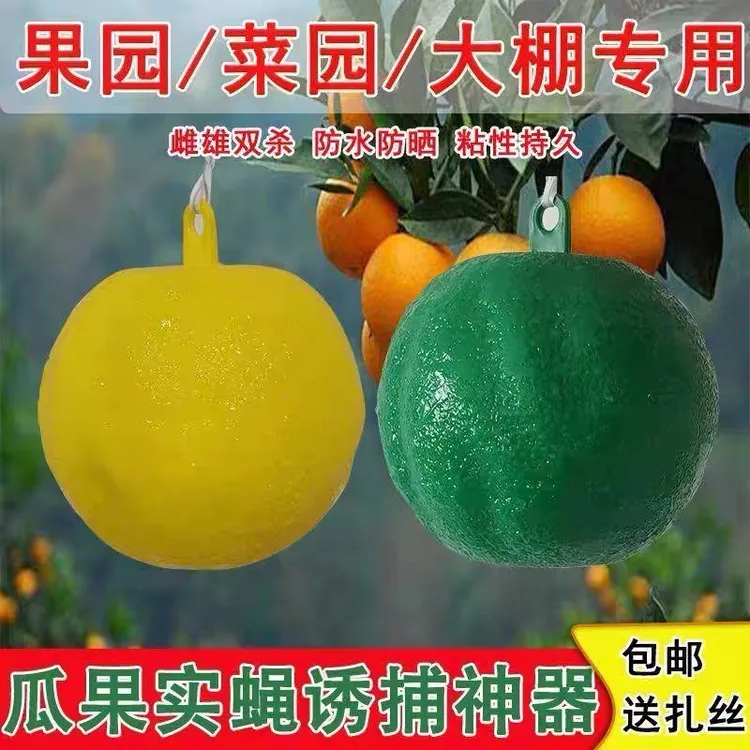 粘虫球丝瓜果实蝇贴诱蝇球针蜂马蜂色引诱剂果蝇诱捕器双面黄板纸