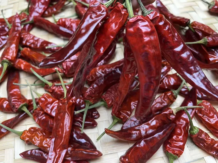 贵州遵义香辣石柱红农家高山晾干干辣椒手工挑选