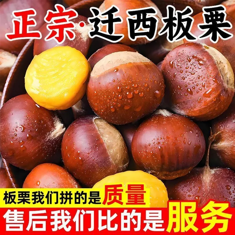 新2025正宗迁西板栗生鲜板栗迁西栗子产地直发好剥皮