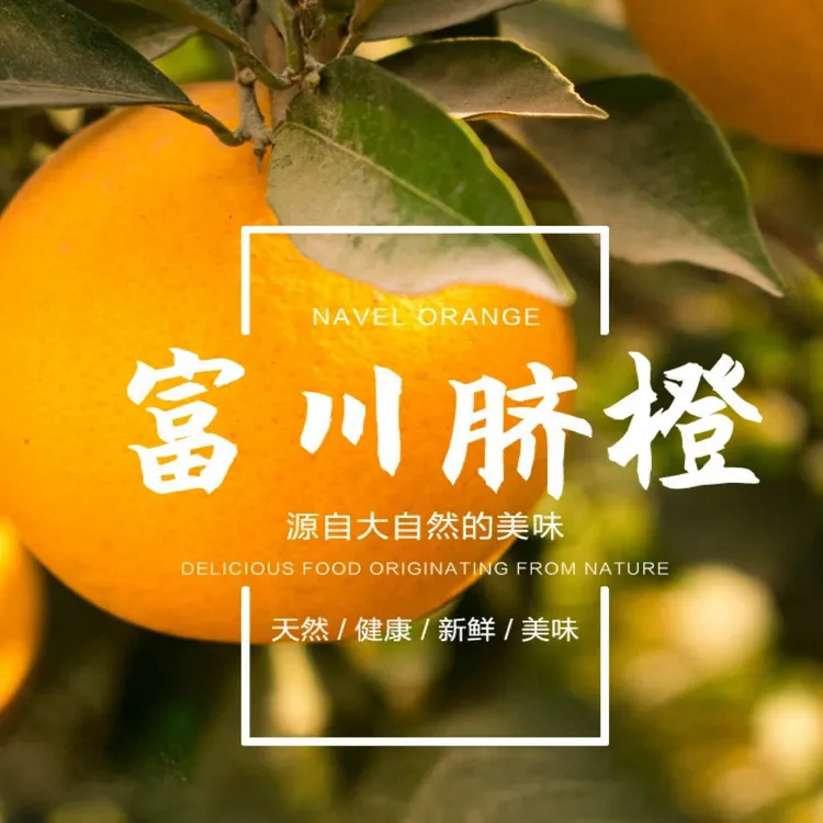 【果园直销】现摘现发富川脐橙薄皮多汁顺丰包邮