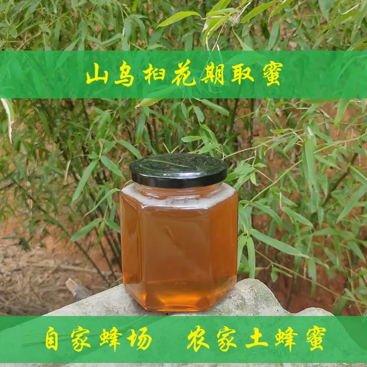 湖南农家土蜂蜜 中蜂蜂蜜 山乌桕蜂蜜