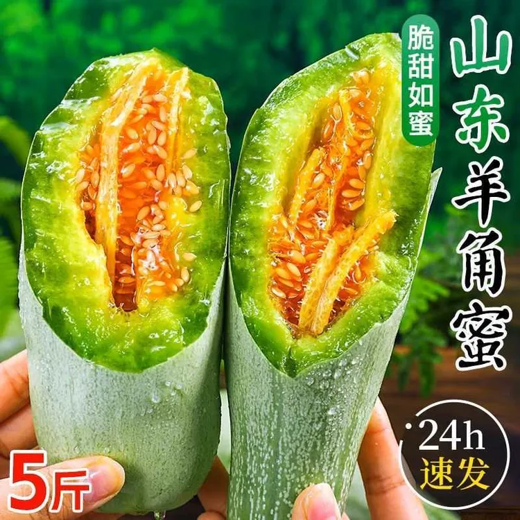 【产地直发】山东头茬正宗羊角蜜新鲜采摘甜瓜蜜瓜香瓜5斤坏果包赔