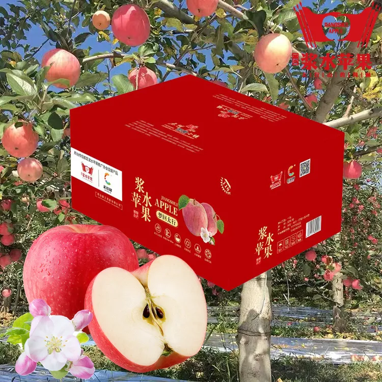 【京东包邮】河北邢台浆水苹果精品礼盒装脆甜多汁家乡特产