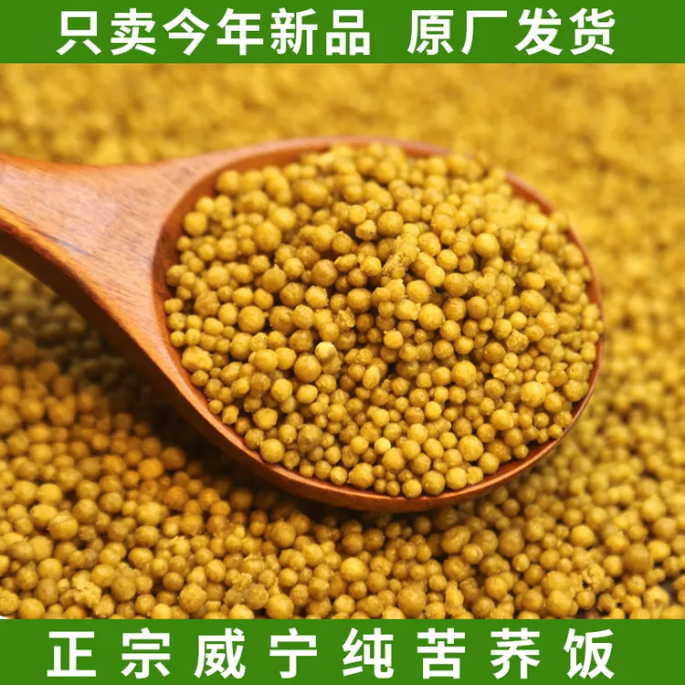 贵州苦荞饭正宗粗粮疙瘩荞麦米苦荞米饭荞麦米新米五谷杂粮乔麦饭