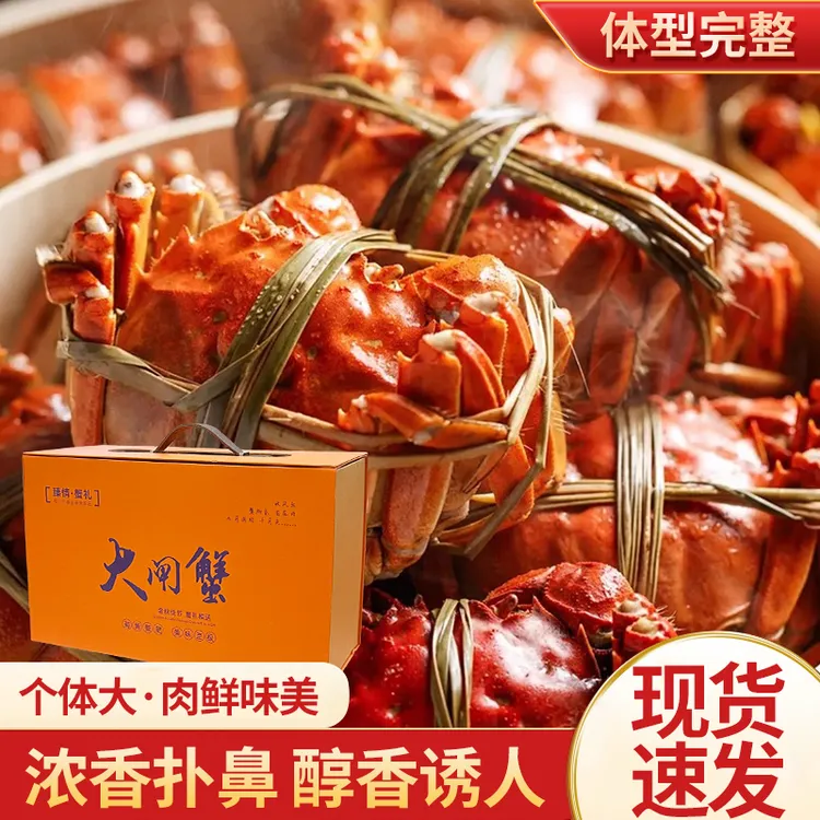 【活蟹】江苏宝应湖大闸蟹精品3两母蟹4两公蟹，各5只共10只。