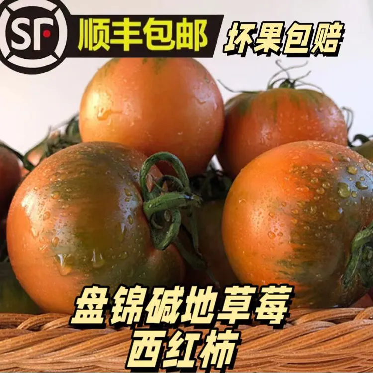 【产地直发】正宗盘锦碱地柿子，产地直发，净重3斤/5斤可选