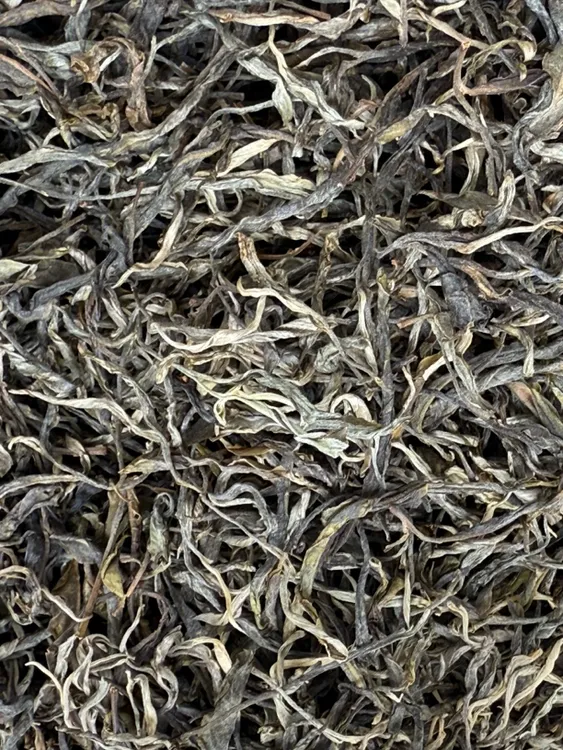 2025年老曼峨288号【头春古树纯料挑采】普洱生茶 100g散料