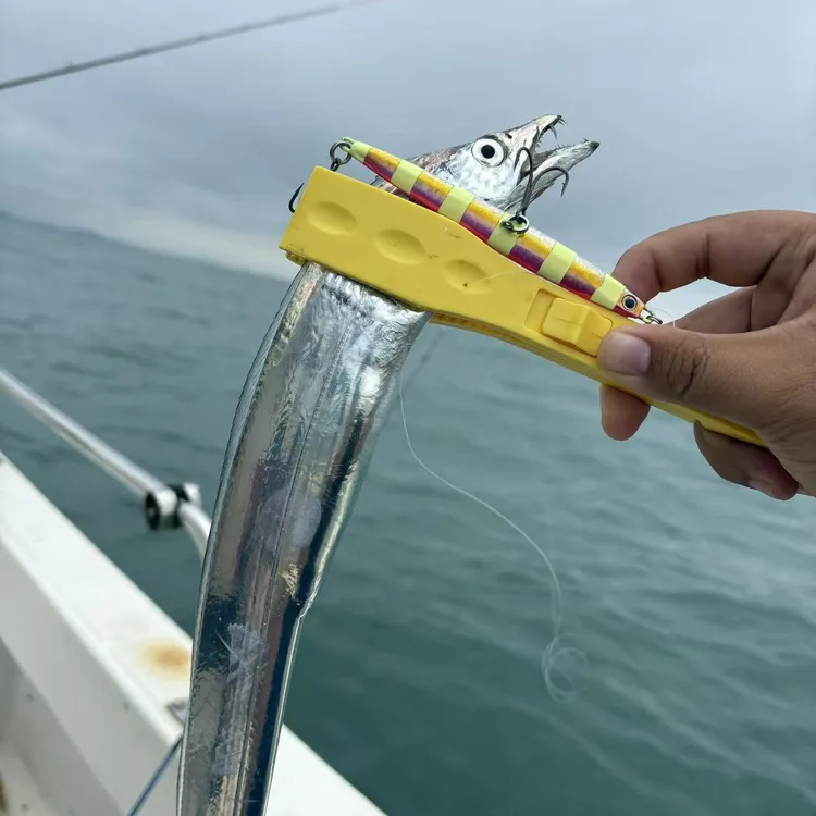 【双三本钩飘落】夜光铁板不对称鲅鱼炮弹黄鲣满29包邮