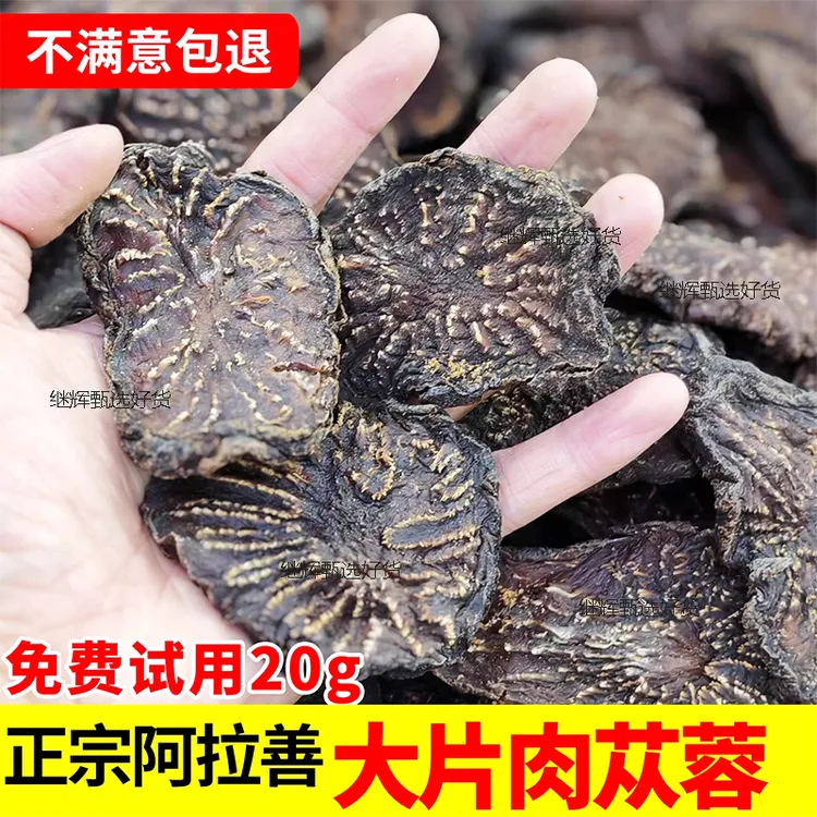 【抢250克半斤】内蒙阿拉善肉枞蓉金锁阳适合泡水煲汤可搭配枸杞