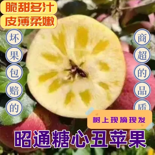 糖心丑红富士-云南昭通红富士苹果丑苹果9斤新鲜采摘多汁芯甜