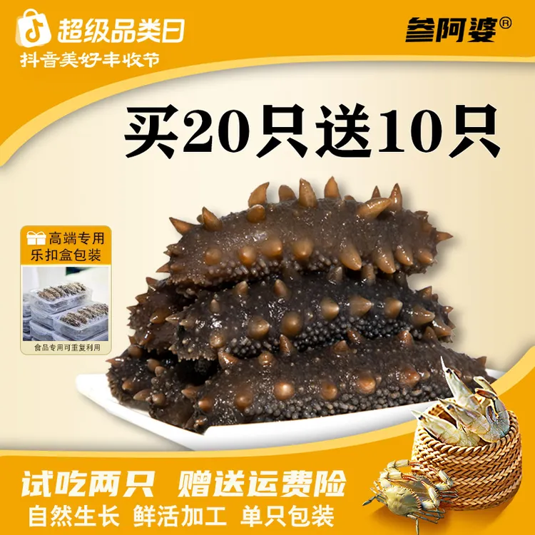 【展会专属】参阿婆鲜蒸海参新鲜海刺参单只包装买20送10头 S1-ZB