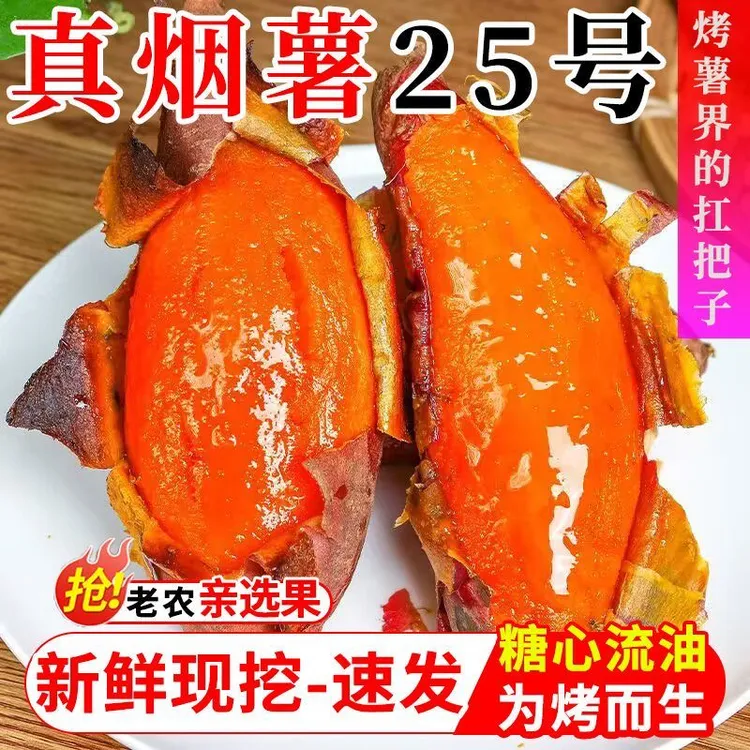 【为烤薯而生】唐山烟薯25糖心流油现挖现发软糯香甜蜜薯25号新鲜