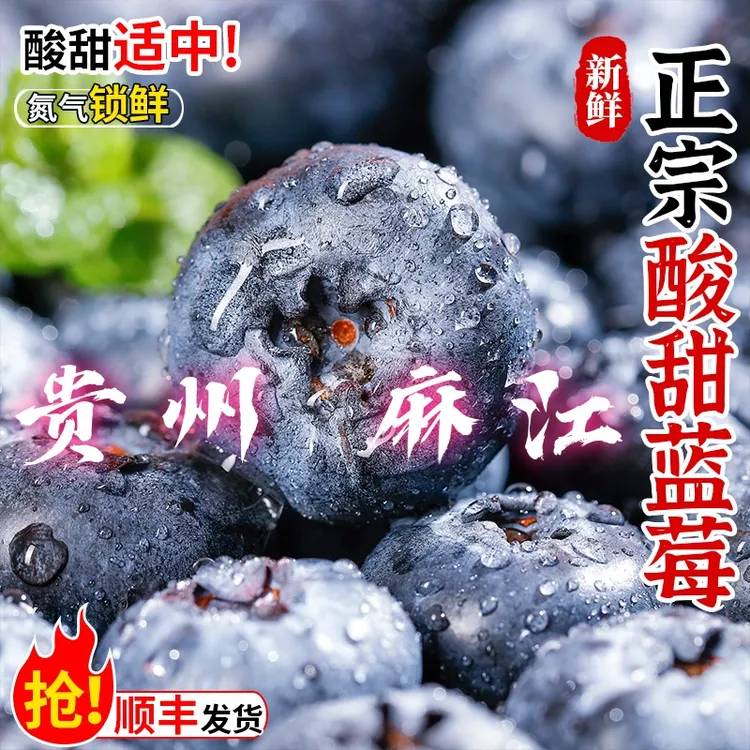 顺丰包邮贵州麻江县蓝莓之乡露天【新鲜蓝莓】脆甜多汁颗颗精选