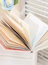 【1-63】-40入微缩食玩洞洞乐
