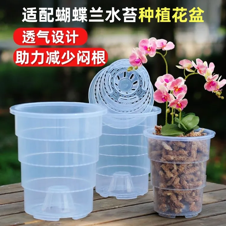 新疆包邮新款透明塑料蝴蝶兰石斛专用透气控根花盆适合热植盆栽