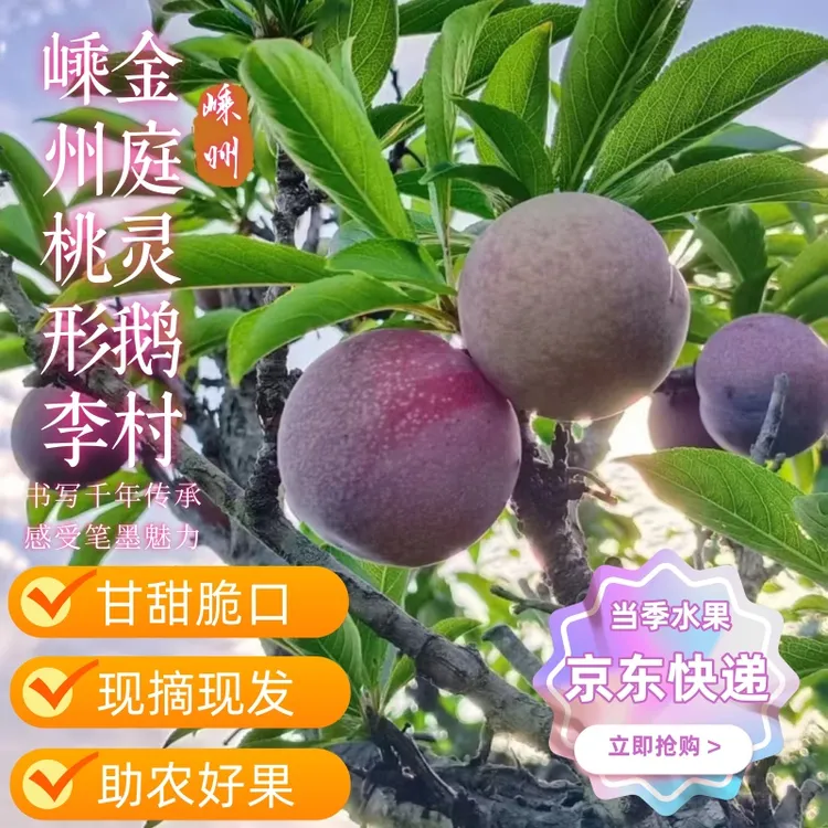 桃形李现摘红心李子新鲜水果脆甜可口自种坏果特大产自嵊州正宗