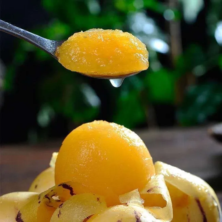 【优优】现摘现发香甜爆汁云南石林人参果爽口多汁新 鮮采摘