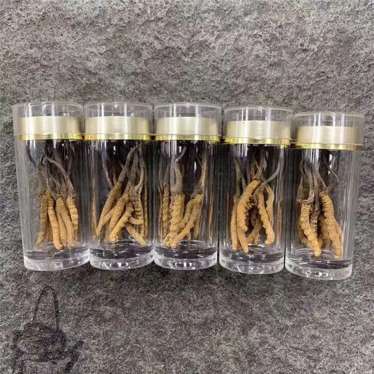 精选特级高原糖草干货