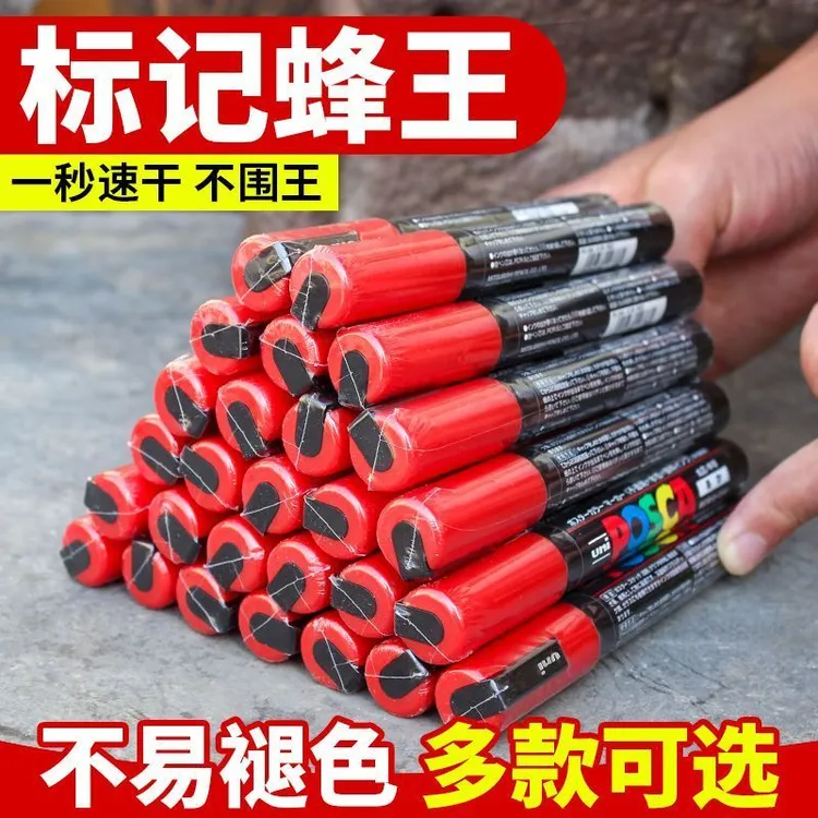 蜜蜂蜂王标记笔记号笔进口防水速干涂色笔不掉色围王养蜂育王工具