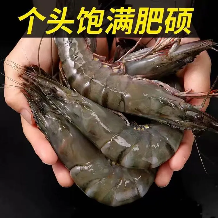 特级进口活虾速冻新鲜黑虎虾规格2125黑虎虾连云港顺丰发货3斤