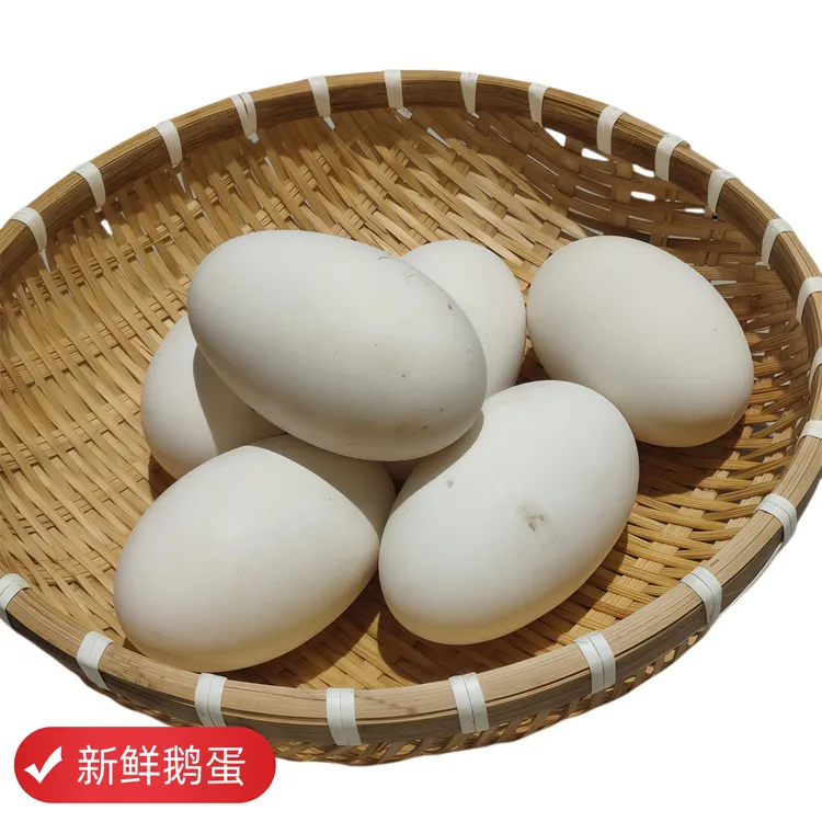 正宗农家散养鹅蛋早餐新鲜现捡现发水库五谷喂养可个头大营养丰富
