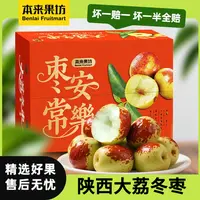 【本来果坊】陕西大荔冬枣 原产地直发 新鲜采摘 当季水果 脆甜可口