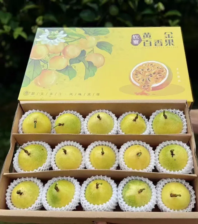 【现摘现发】15枚装正宗钦蜜9号黄金百香果产地直发当季新鲜水果