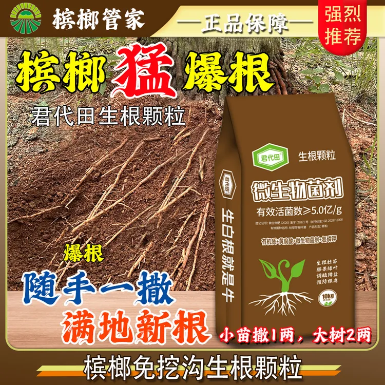 槟榔生根颗粒可撒施生根壮根防腐微生物菌剂山坡地颗粒槟榔管家