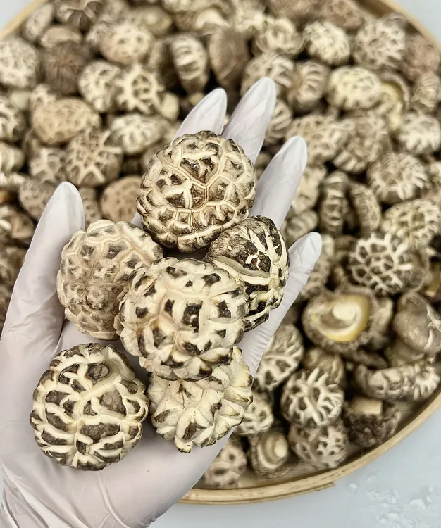 【花菇香菇】美味下饭菜 家常菜 肉质肥美小花菇小香菇冬菇干货250g