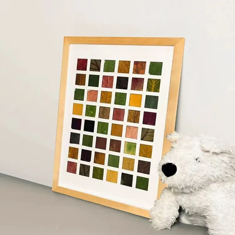 捡秋相框48宫格相框树叶贴画树叶标本相框手工diy礼物送朋友落叶