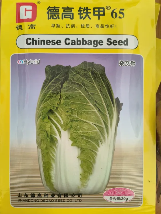 铁甲65大白菜种子