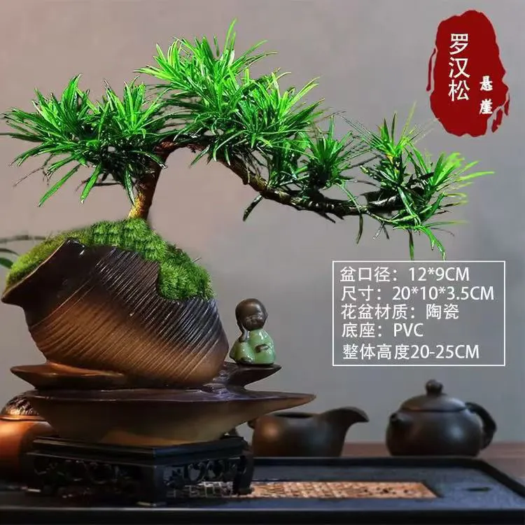 悬崖迎客造型小叶雀舌茶花罗汉松盆景室内桌面绿植适合办公室客厅
