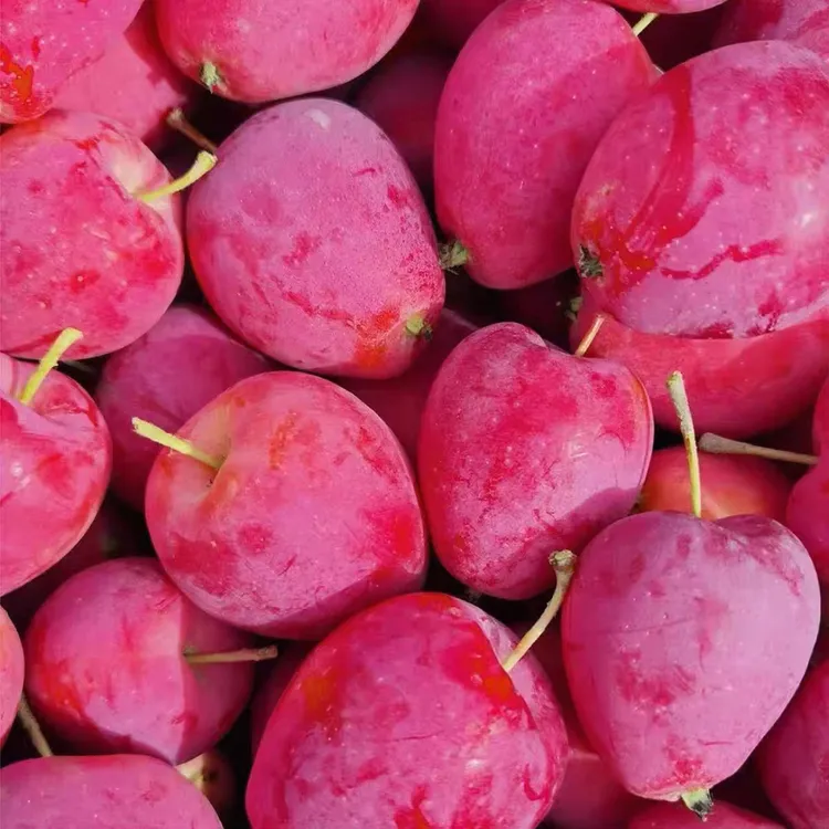 东北鸡心果(酸甜口感)