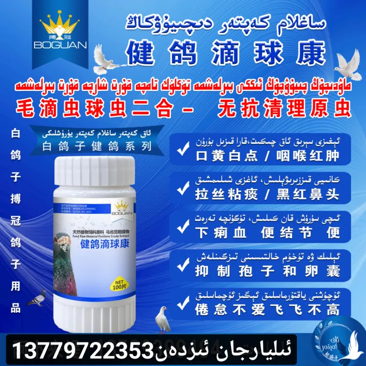 白鸽子搏冠健鸽滴球康毛滴虫球虫二合一血便口腔痰丝【新疆包邮】