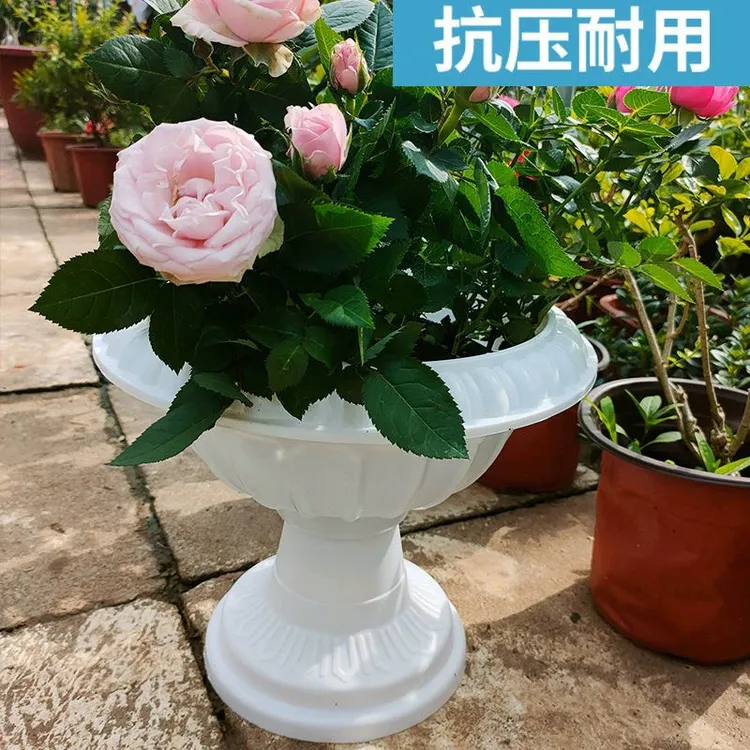 【加厚】多肉兰花蔬菜种植花盆微瑕疵罗马花盆捡漏网红简约欧式花盆