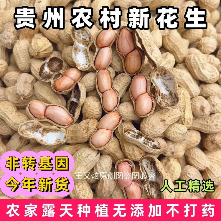 新鲜花生贵州鲜花生2025农家自种嫩花生干花生花生米应季非转基因