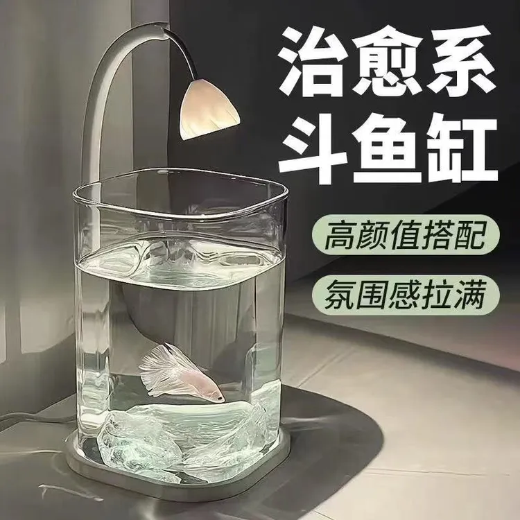 鱼缸斗鱼专用超白小型懒人玻璃缸客厅创意桌面摆件高级感观赏灯