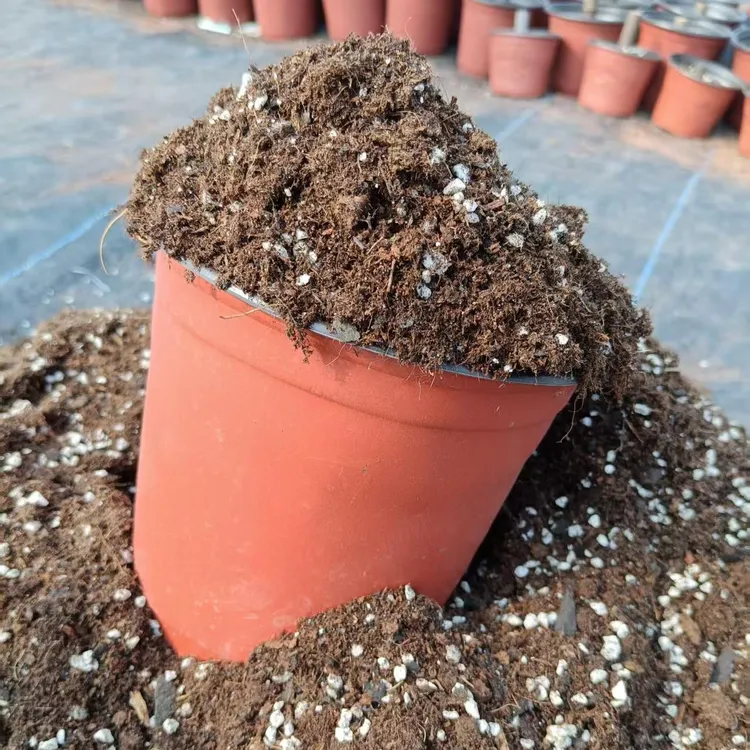 果树扦插基质土无花果枝条扦插基质生根爆根快疏松透气自家育苗用