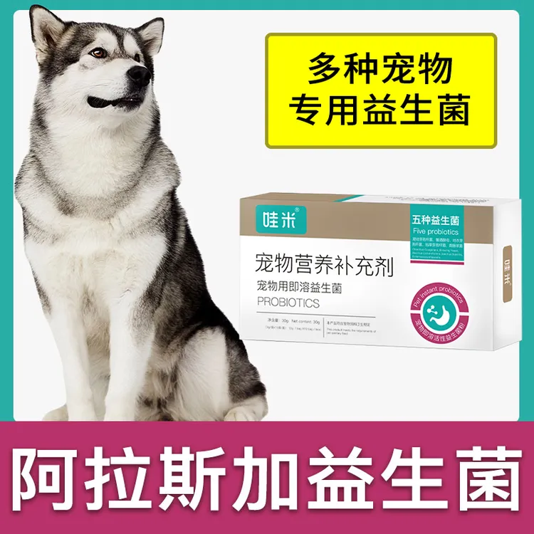 阿拉斯加专用益生菌粉成幼犬用狗狗宠物即溶肠胃宝肠道消化宝
