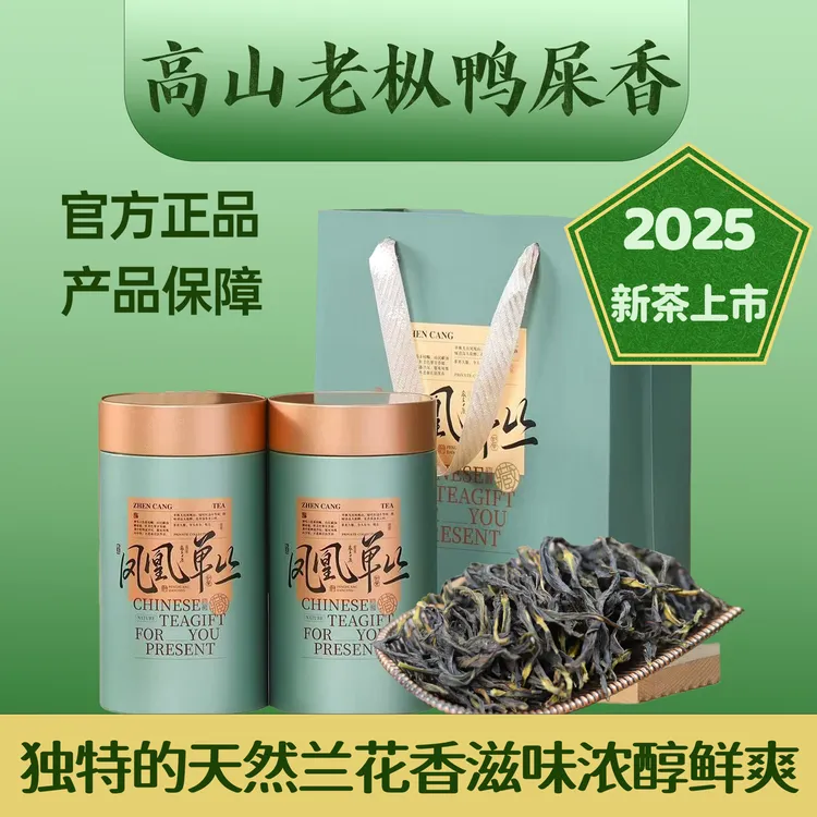 正宗潮州茶坪坑头村单丛茶叶口粮茶特色高山老枞鸭屎香凤凰单枞