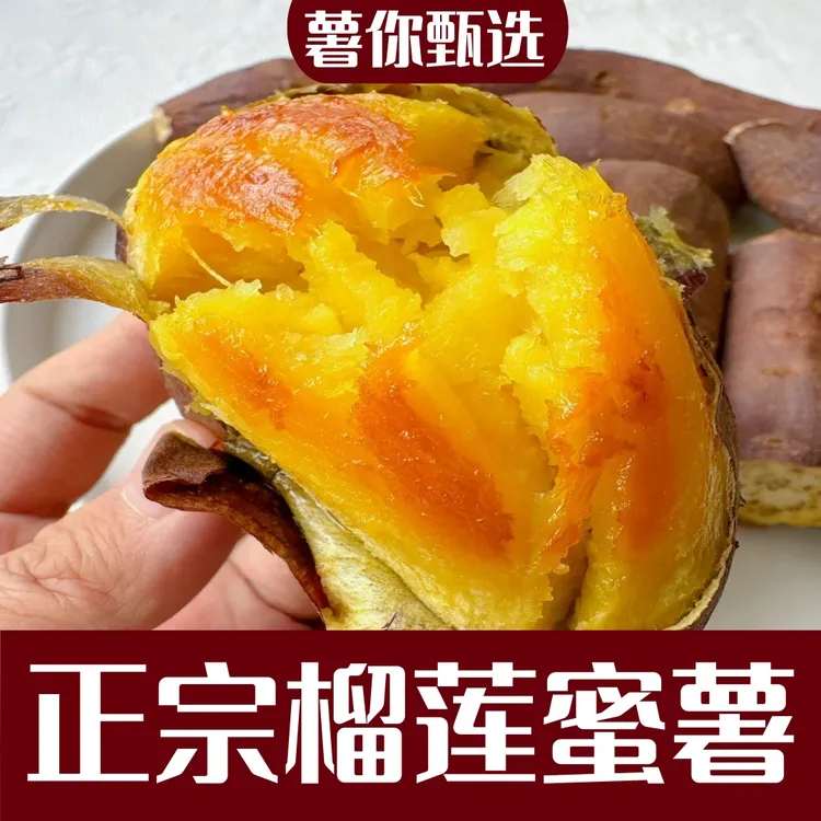 山东榴莲蜜薯甄选品正宗榴莲蜜薯软糯香甜番薯糖心蜜甜