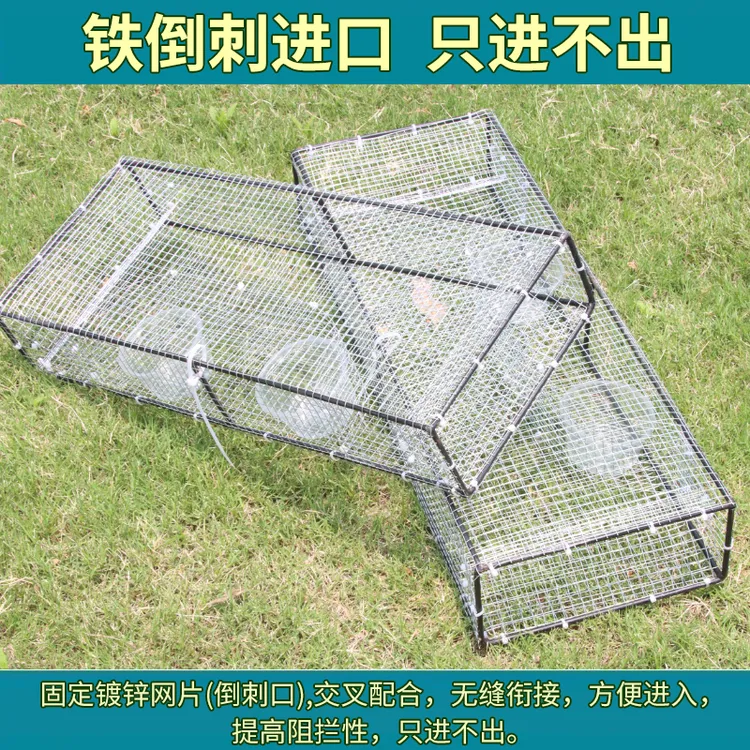 特大号户外铁丝笼防锈笼宠物笼双门倒须笼子养黄鳝泥鳅鱼虾多功能