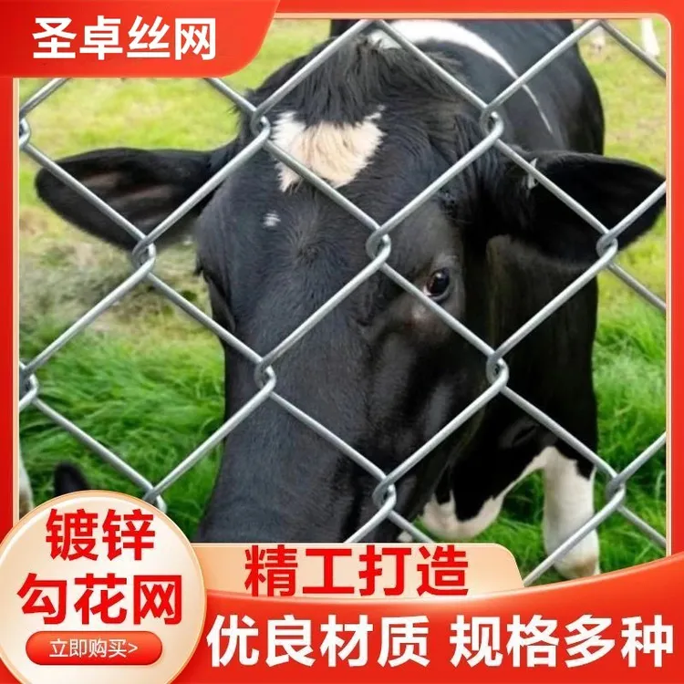 热镀锌勾花网铁丝网围栏用于养鸡养殖果园防护不生锈钢丝批发